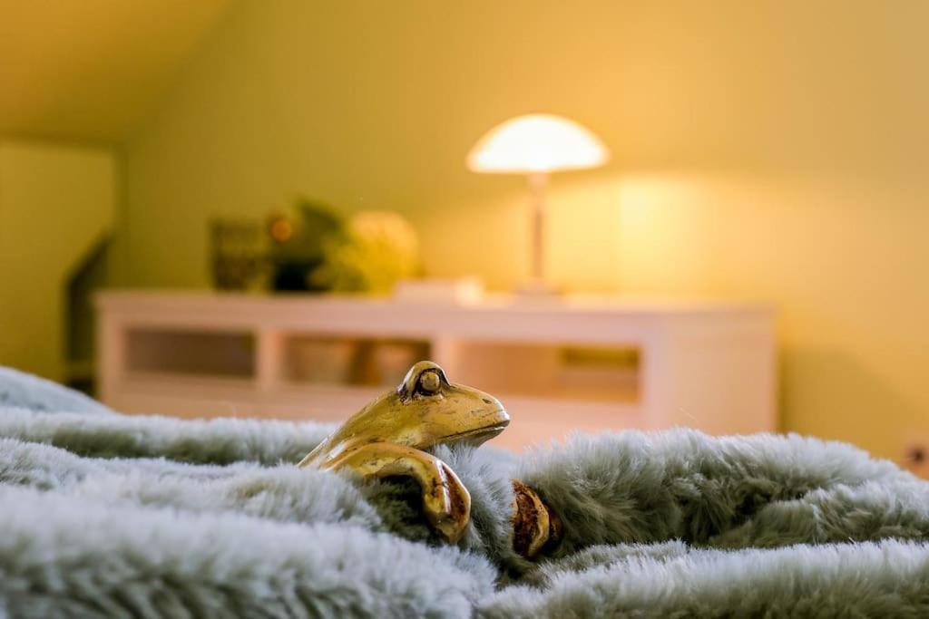 Charmante, Grosszuegige Ferienwohnung Villa Fleurie Bretten Zewnętrze zdjęcie